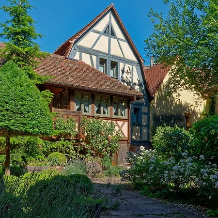 Remparts De - Le Dragon Porte-bonheur Рикевир